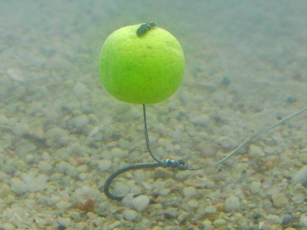 culori - sbscarpfishing17.jpg